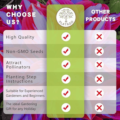 🔥Big Promotion 50% OFF🍃Rare Hosta seeds, ideal for perennial shade garden ornamental foliage, suitable for outdoor landscaping🌿